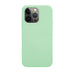 Colour Case Green - iPhone 13 Pro